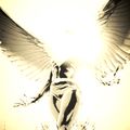 Mychal-El Wings Image.jpg