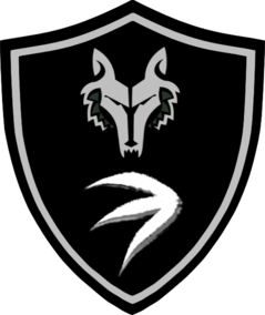 The Shadow Hunter Task Force Insignia