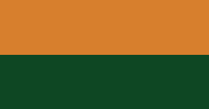 File:ParamexorFlag.png