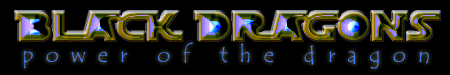 Black Dragons Banner Year 2.jpg