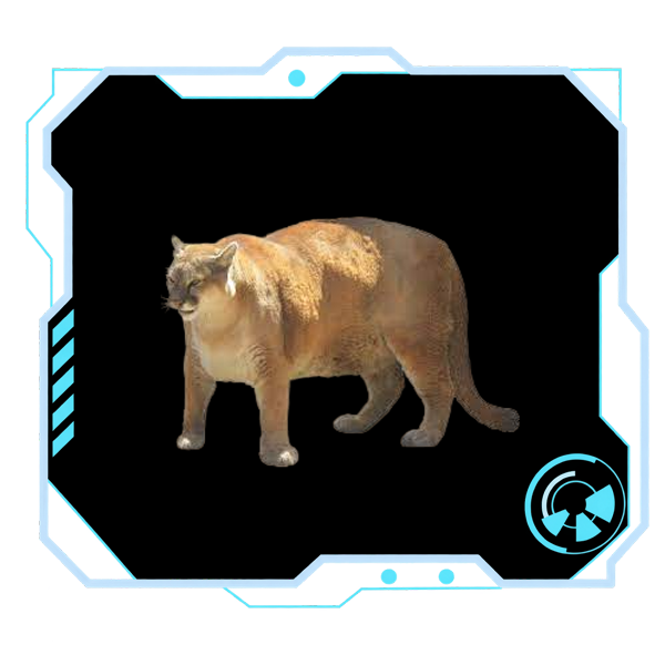 File:Thrall Alex Sandpanther.png