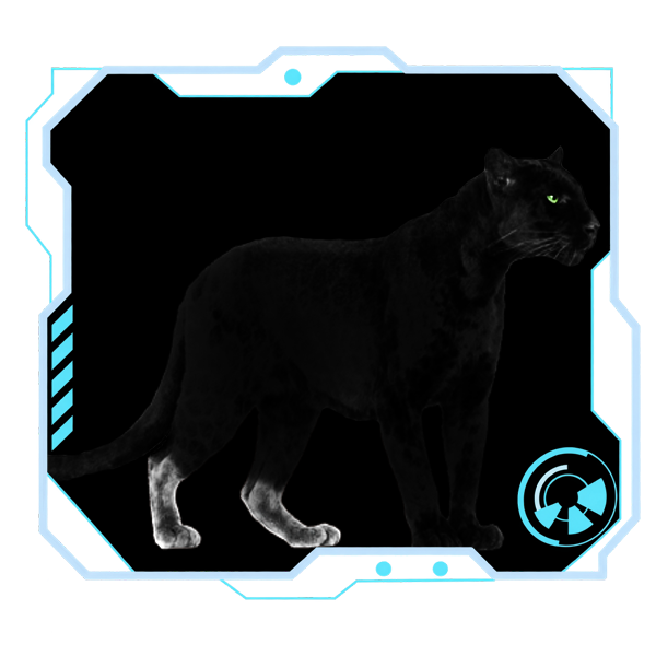 File:Thrall Sox Sandpanther.png