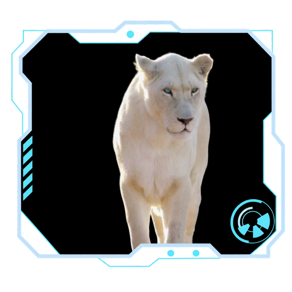 File:Thrall Kira Sandpanther.png