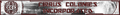 Cirrus Colonies Incorporated Banner Year 12.png